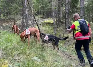 Große Suchaktion: Polizeihubschrauber im Einsatz