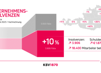 Unternehmens- und Privatkonkursentwicklung in Österreich
