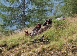 GailtalMuseum: Apotheke der Natur – BAUMHARZE, HEILKRÄUTER, WILDFETTE