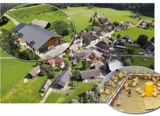 Federvieh und Rinder gemeinsam unter neuem Dach