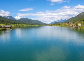 Freund*innen und Unterstützer*innen gesucht!