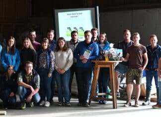 Ein Zusammenspiel von Kopf bis Klaue