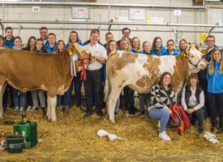 The Greatest Showseason: Startschuss in Osttirol