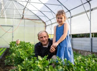 Gemüsekisterl: Vitamine für Herbst und Winter