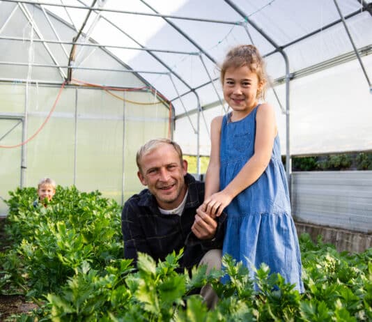 Gemüsekisterl: Vitamine für Herbst und Winter