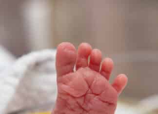 Welt-Frühgeborenen-Tag: Ein kleines Wunder braucht viele Hände