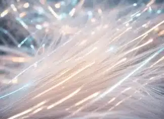 Statement Landesrat Sebastian Schuschnig zur neuen Breitband-Förderoffensive des Bundes: