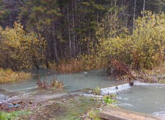 Unwetter: Hochwasser und Murenabgang in Hermagor