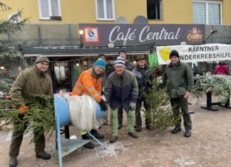 Ein Baum schenkt doppelte Freude