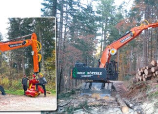 Holz Köferle: Ihr Partner in Sachen Holzernte und Transport!