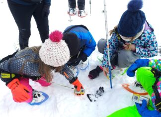 Naturpark Dobratsch: Familien-Schatzsuche im Schnee