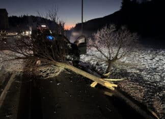 Verkehrsinsel gerammt: 46-jähriger alkoholisierter Mann verursachte Unfall