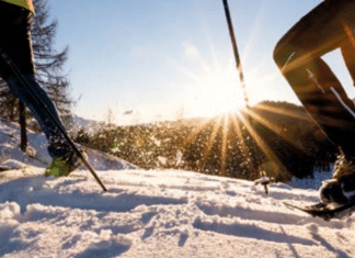 Schneeschuhwanderung – Der Natur auf der Spur