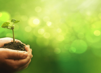 Zerza Das Grüne Gas GmbH sucht zur Verstärkung einen Office-Allrounder