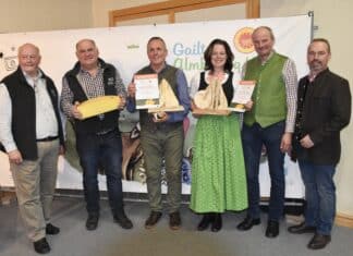 Das war die 21. Internationale Almkäseprämierung 2024