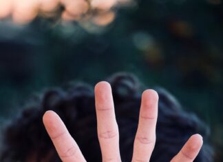 FPÖ-Angerer zu Schlepperroute durch Kärnten: „Grenzen schließen und endlich absoluten Asylstopp umsetzen!“