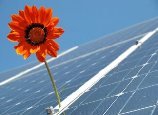 Die Zukunft der Energie: Photovoltaik-Lösungen für Unternehmen