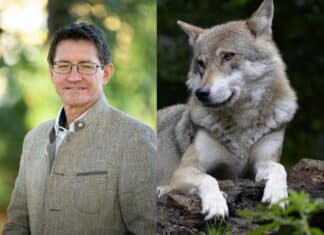 LK Kärnten begrüßt Entwurf des geplanten Alm- und Weideschutzgesetzes