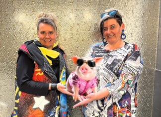 Auf die Schweine – fertig – los!