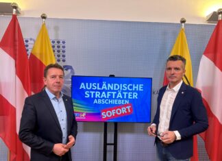 FPÖ-Angerer/Darmann: FPÖ fordert 500 Euro „Kelag-Geld-zurück-Bonus“ für die Kärntner!