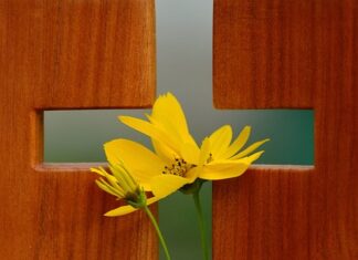 Rotes Kreuz: Einführungsseminar zur Trauerbegleitung