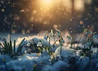 Wetterumschwung in Kärnten: Schnee bis in tiefe Lagen möglich