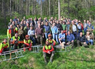 Laubhölzer machen Wälder klimafit