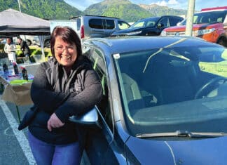 Car Kosmetik: Wie Sonja Oberluggauer für saubere Autos sorgt