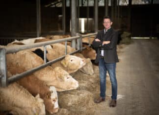 Weltmilchtag 2024: Milchbauern brauchen mehr Einkommen und weniger Auflagen!