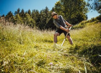Besondere Veranstaltungen im Naturpark Dobratsch