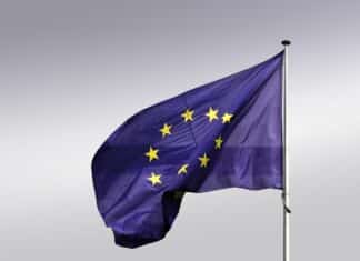 Europawahl 2024: So funktioniert die Wahl per Wahlkarte