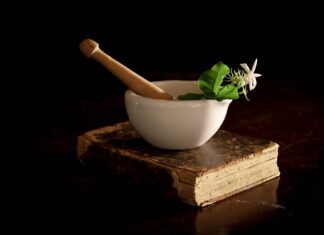 Die Renaissance der Kräutermedizin in Österreichs ländlichen Regionen