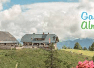 Kulinarische Köstlichkeit