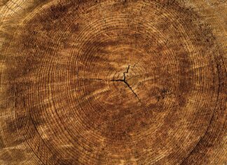 HASSLACHER HERMAGOR | NORICA PELLETS: Werden Sie Teil unseres Teams als engagierte/r Rundholzplatz-Mitarbeiter/in