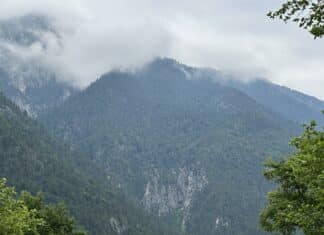 Helikopter-Einsatz: Weitere Suchaktion nach vermisstem Pensionisten im Graslitzen Gebiet