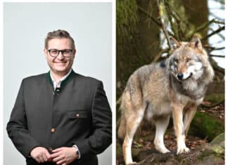 Julian Geier: „Green Deal ist in jetziger Form nicht realisierbar“ – Gegen das Renaturierungsgesetz