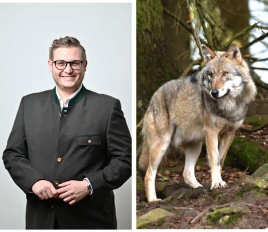 Julian Geier: „Green Deal ist in jetziger Form nicht realisierbar“ – Gegen das Renaturierungsgesetz