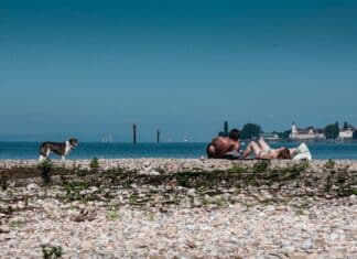 8 lustige Dinge, die Sie an diesem Wochenende tun können