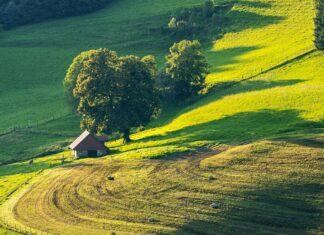 Renaturierungsgesetz – Team Kärnten/Köfer/Smrtnik: Kärntner Landesregierung muss bei Ablehnung bleiben