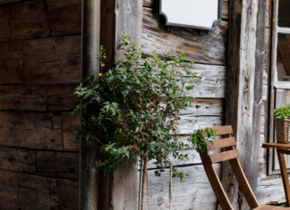 Das Eigenheim mit Holzkonstruktionen erweitern: Verschiedene Optionen im Überblick