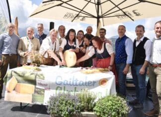 Offizieller Almkäseanschnitt 2024 auf der Watschiger Alm: An`gschnittn is!