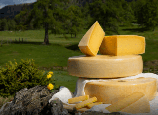 Offizieller Almkäseanschnitt auf der Watschiger Alm