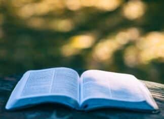 Bildungshub – Team Kärnten/Köfer: Vernetzung auch zwischen AHS-/BHS-Bereich und der Wirtschaft erforderlich