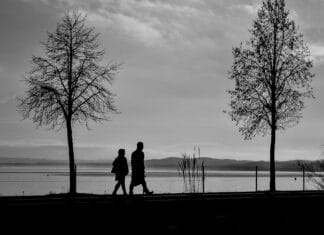 Begleitservice gesucht!