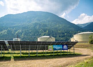 AAE baut größte Agri-Photovoltaikanlage in Oberkärnten: Weidefläche erzeugt Strom