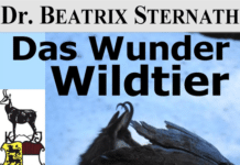 GailtalMuseum: Das Wunder Wildtier – Außergewöhnliche Sinne & spektakuläre Fähigkeiten