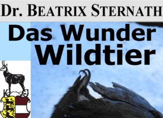 GailtalMuseum: Das Wunder Wildtier – Außergewöhnliche Sinne & spektakuläre Fähigkeiten