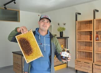 Mit Leidenschaft und Bienen-Fleiß in die Selbstständigkeit