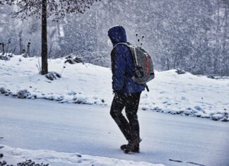 VCÖ: Jeder 5. Schulwegunfall in Kärnten passierte im Vorjahr auf einem Schutzweg!