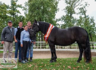 Sensationeller Erfolg für Züchter